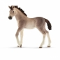 Schleich, źrebię rasy andaluzyjskiej (13822)