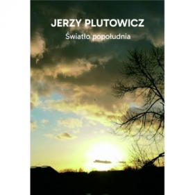 Światło popołudnia - Jerzy Plutowicz