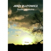 Światło popołudnia - Jerzy Plutowicz