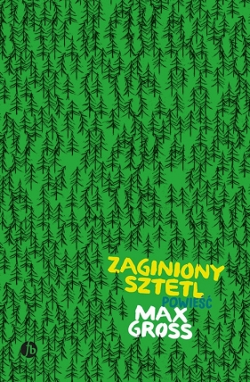 Zaginiony sztetl - Max Gross