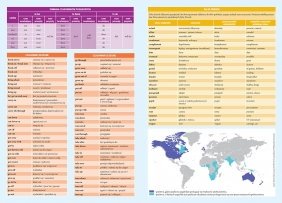Vademecum matura - język angielski - Dorota Ciężkowska-Gajda, Daniela MacIsaac