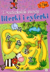Przedszkolak poznaje literki i cyferki 6-7 lat - Agnieszka Bator