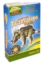 GRAFIX 3D Model Triceratops