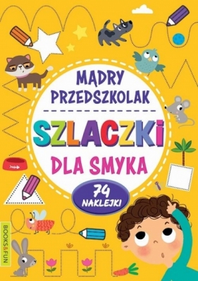 Mądry Przedszkolak. Szlaczki dla smyka - Opracowanie zbiorowe