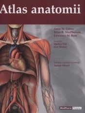 Atlas anatomii
