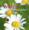 Klucze (5) - Wiara malutka