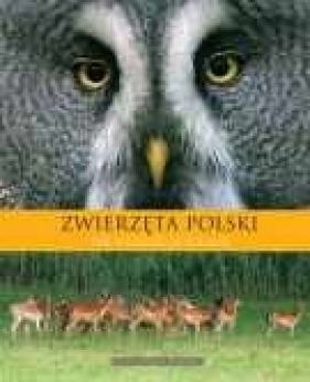 Zwierzęta Polski The wildlife of Poland - Nowakowska Marzanna