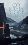 Co kryją góry Wicklow Malena Malewska