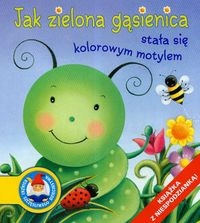 Jak zielona gąsienica stała się kolorowym motylem