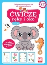 Ćwiczę rękę i oko. Zabawy grafomotoryczne dla przedszkolaków 3-5 lat. Fakt Opracowanie zbiorowe