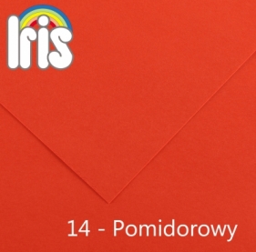Karton kolorowy Canson (200040161) - Fila Polska