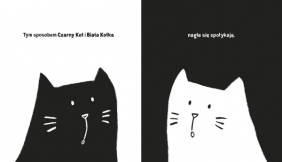 Czarny Kot Biała Kotka - Borando Silvia