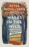 Walks in the Wild A guide through the forest with Peter Wohlleben Wohlleben Peter