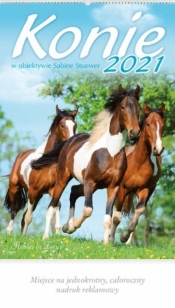 Kalendarz 2021 Reklamowy Konie w obiektywie