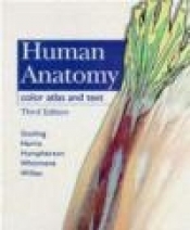 Human Anatomy