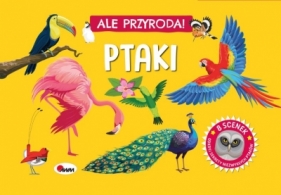Ptaki. Ale przyroda - Natalia Kawałko-Dzikowska