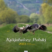 Kalendarz 2023 spirala kw Krajobrazy Polski KD35