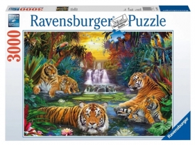 Puzzle 3000: Tygrysy przy wodopoju (170579)
