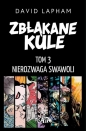 Zbłąkane kule T.3 Nierozwaga swawoli - David Lapham