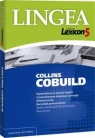 Lingea Collins Cobuild Lexicon 5