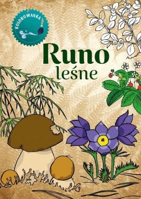 Kolorowanka. Runo Leśne - Katarzyna Kopiec-Sekieta