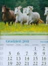 Kalendarz 2012 KT17 Konie trójdzielny