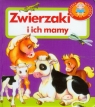 Zwierzaki i ich mamy