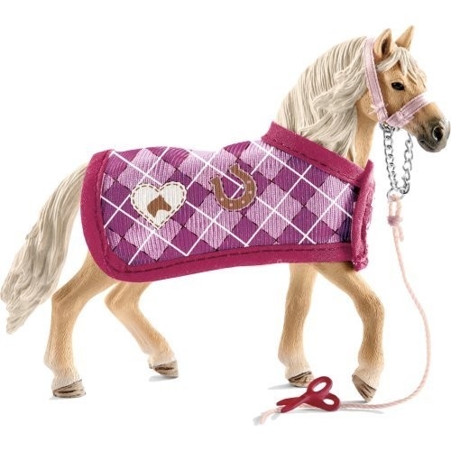 Andaluzyjski koń i zestaw moda (42431)