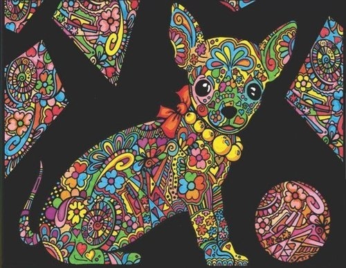 Kolorowanka Welwetowa Colorvelvet A4 Chihuahua