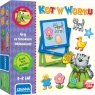 Kot w worku (00358/WG) Wiek: 3+