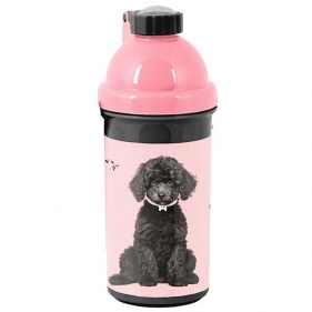 Paso, Bidon Little puppy