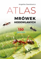 Atlas mrówek hodowlanych. 150 gatunków - Angelika Dawidowicz