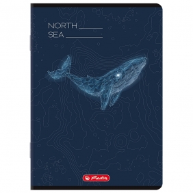 Zeszyt Herlitz A5/60k kratka z marginesem, 1 szt