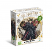 Puzzle - Harry Potter, 250 el.