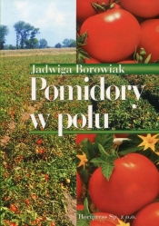 Pomidory w polu - Borowiak Jadwiga