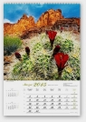 Kalendarz 2015 Kwiaty w naturze