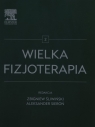 Wielka fizjoterapia Tom 2