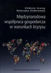 Międzynarodowa współpraca gospodarcza w warunkach kryzysu