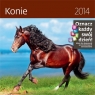 Kalendarz 2014 Konie
