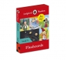 Ladybird Readers Level 4 Flashcards