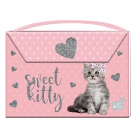 Pamiętnik zamykany na magnes z rączką Studio Pets (PLC-3622)