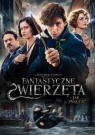 Fantastyczne zwierzęta i jak je znaleźć DVD David Yates