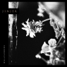  Wallflowers (Digipack)