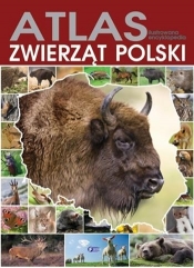 ATLAS ILUSTROWANA ENCYKLOPEDIA ZWIERZĄT POLSKI TW (Uszkodzona okładka) - Opracowanie zbiorowe
