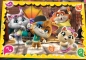 Puzzle SuperColor 2x20: 44 Koty (24758)