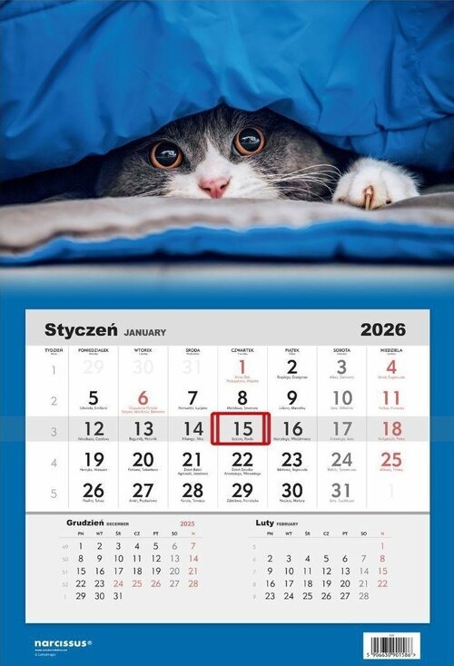 Kalendarz 2026 Jednodzielny Kot