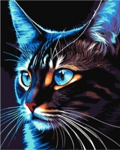Malowanie po numerach - Cosmo-cat, 40x50cm