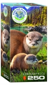 Puzzle 250 Otters 8251-5558 5+