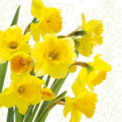 SERWETKI SDL280000 Yellow Daffodils