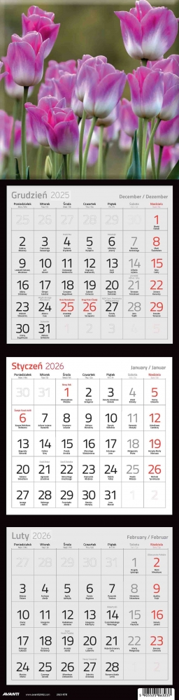 Kalendarz 2026 trójdzielny kwadratowy, 1 szt